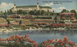Rose Garden and Hotel Postcard
