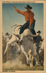 Todd Whatley - Championship Brahma Riding Contest Rodeos Postcard Postcard Postcard