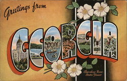 Greetings From Georgia Postcard Postcard Postcard
