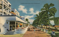 Wofford Hotel Miami Beach, FL Postcard Postcard Postcard