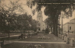 The Common Framingham, MA Postcard Postcard Postcard