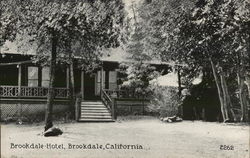 Brookdale Hotel Postcard