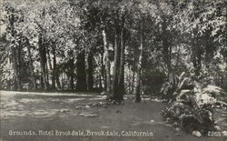 Hotel Brookdale - Grounds Postcard