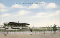 Mile High Kennel Club Track Postcard