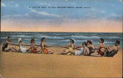 "Tug of War" Old Orchard Beach, ME Postcard Postcard Postcard