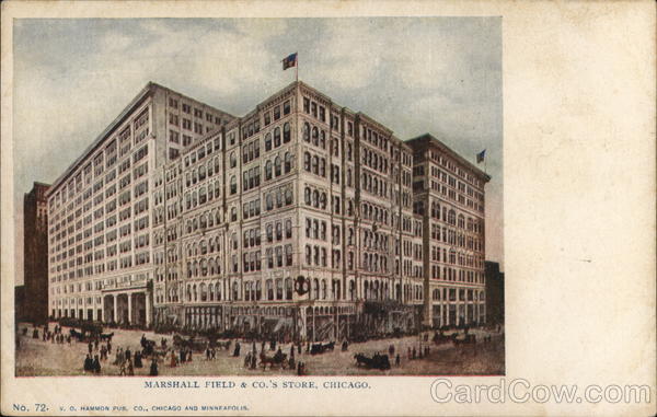 Marshall Field & Co.'s Store Chicago Illinois