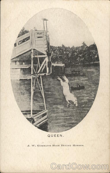Queen - Diving Horse Atlantic City New Jersey