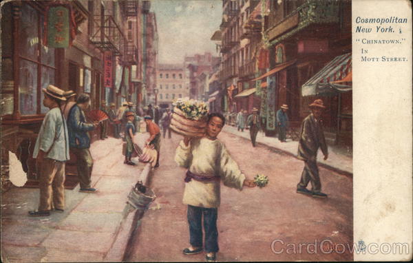 Cosmopolitan New York Chinatown In Mott Street