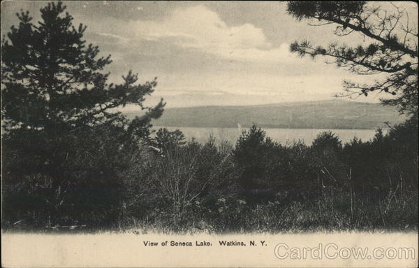 View of Seneca Lake Watkins Glen New York