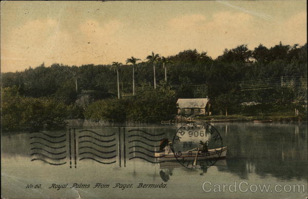 Royal Palms from Paget Bermuda