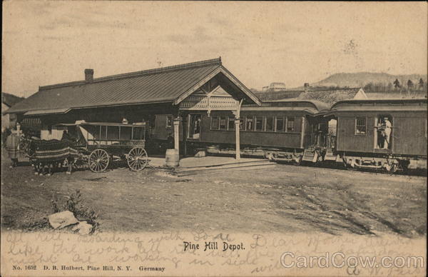 Pine Hill Depot New York Postcard