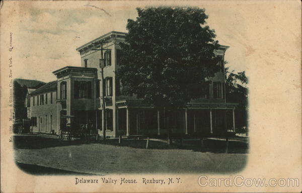 Delaware Valley House Roxbury New York