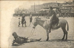 Man & Woman with Donkey at the Beach Postcard