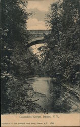 Cascadilla Gorge Postcard