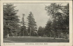 Pine Knoll Postcard