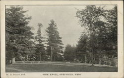 Pine Knoll Sheffield, MA Postcard Postcard Postcard