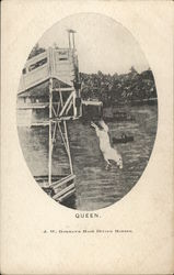 Queen - Diving Horse Atlantic City, NJ Postcard Postcard Postcard