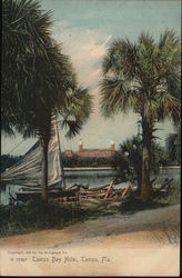 Tampa Bay Hotel Postcard