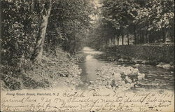 Along Green Brook Plainfield, NJ Postcard Postcard Postcard