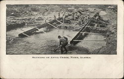 Sluicing on Anvil Creek Nome, AK Postcard Postcard Postcard