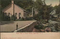 Honk Falls & Power House Ellenville, NY Postcard Postcard Postcard