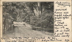 Buckley's Bridge Postcard