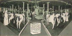 Hershey Chocolate Co. - Milking Barn Postcard