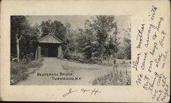 Beaverkill Bridge Turnwood, NY Postcard Postcard Postcard