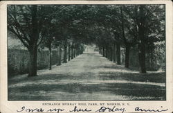 Entrance Murray Hill Park Mount Morris, NY Postcard Postcard Postcard