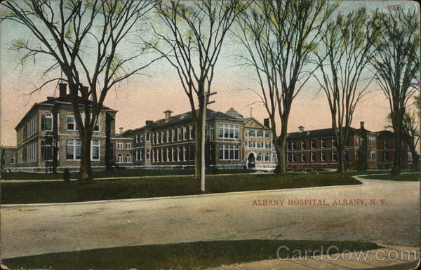 Albany Hospital New York