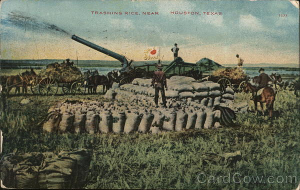 Trashing Rice Houston Texas