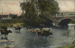 Main Street Bridge Postcard