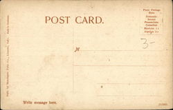 back