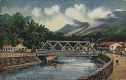 Suburbs and Bridge Postcard