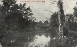 On Black River Postcard