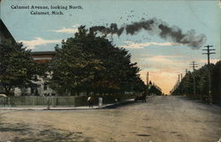 Calumet Avenue, looking North Michigan Postcard Postcard Postcard