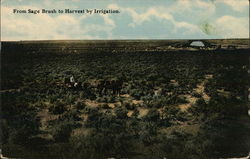 From Sage Brush to Harvest by Irrigation Farming Postcard Postcard Postcard