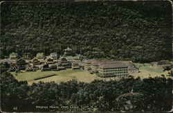 Profile House from Eagle Cliff Franconia Notch, NH Postcard Postcard Postcard