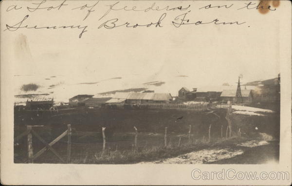 Winter Scene on the Sunny Brook Farm Farming