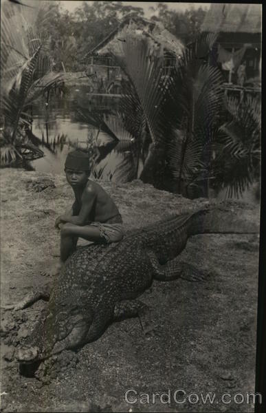 Boy Sitting on Alligator Alligators