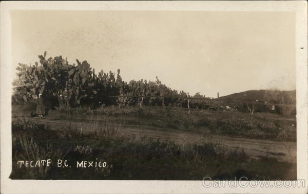 Road Through Fields Tecate Mexico