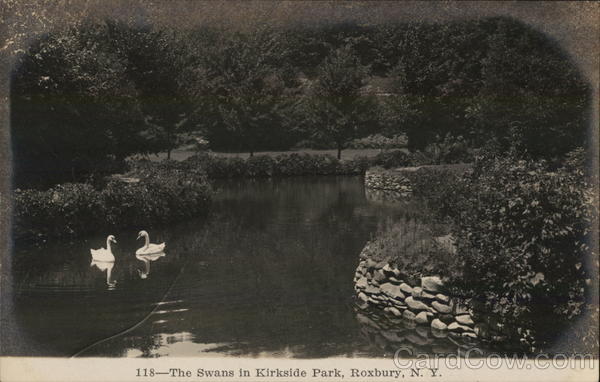 The Swans in Kirkside Park Roxbury New York