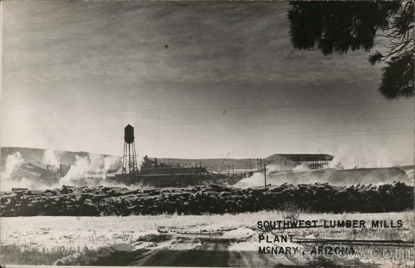 Southwest Lumber Mills Plant McNary Arizona