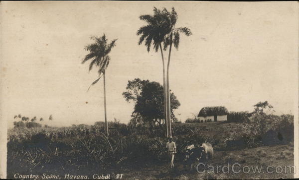 Country Scene Havana Cuba