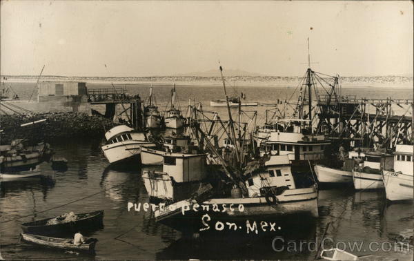 Ships in Harbor Puerto Penasco Mexico