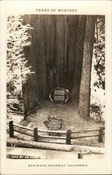 Trees of Mystery Redwood Highway, CA Postcard Postcard Postcard