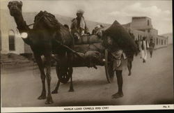 Marla Load Camels and Cart Postcard