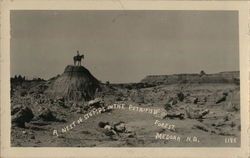 A Nest of Stumps in the Petrified Forest Postcard