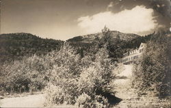 Halfway House Postcard