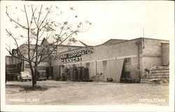 Taormina Canning Corporation Cannery Postcard